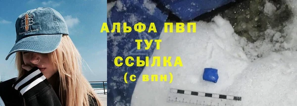 тгк Новозыбков