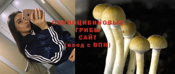 прущие крисы Новодвинск