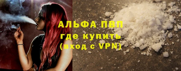 тгк Новозыбков