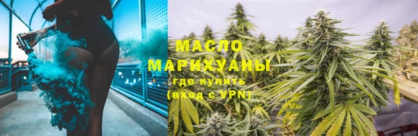 тгк Новозыбков
