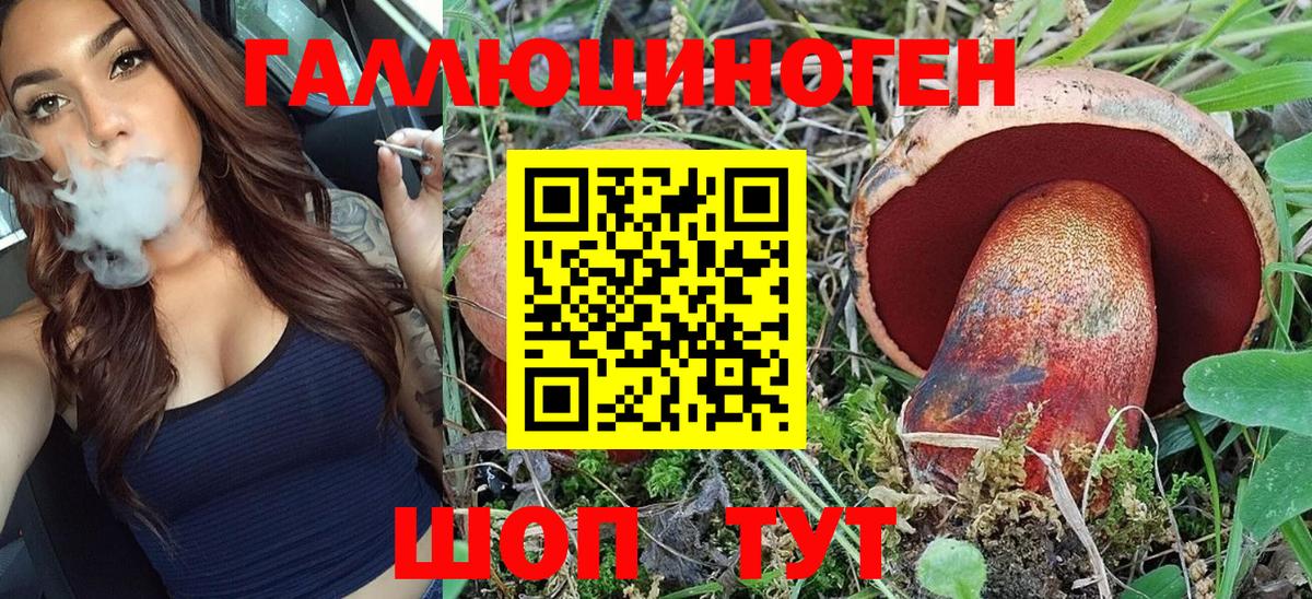 Псилоцибиновые грибы Psilocybe Тобольск